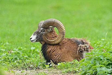 员工资料信息侧面印证Xbox游戏登陆PlayStation传闻